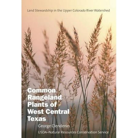 Common Rangeland Plants of West Central Texas -