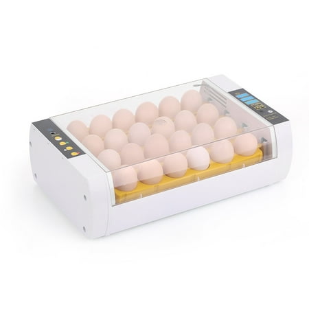 Bird Egg - 24-Eggs Intelligent Automatic Egg Incubator Temperature Control Hatcher for Hatching Chicken Duck Bird Quail Poultry AC110V US Plug