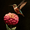 Hummingbird, variant on Flower Hummingbird Canvas Wall Art Home Decor for Living Room Bedroom Dining Room Hallway Office Kitchen