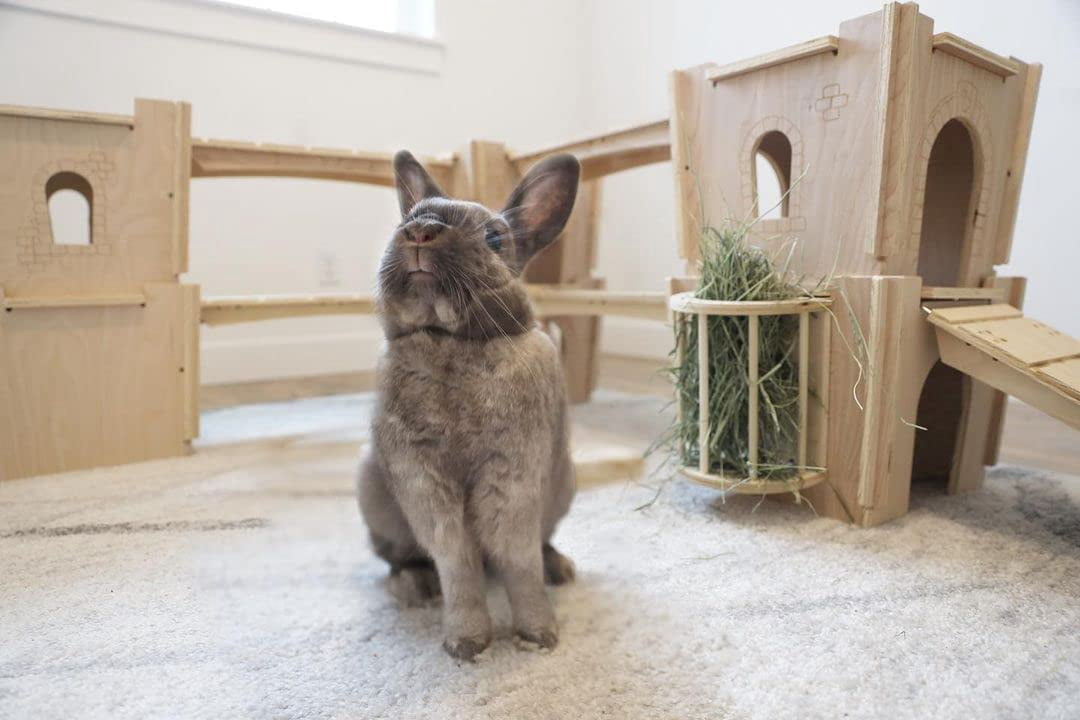 Small Pet Select - Habitat Hideout Bridge/Ramp, Rabbits, Guinea Pigs, Small Animals