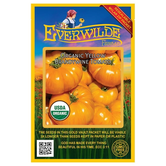 Everwilde Farms - 25 Organic Yellow Brandywine Heirloom Tomato Seeds - Gold Vault Jumbo Bulk Seed Packet