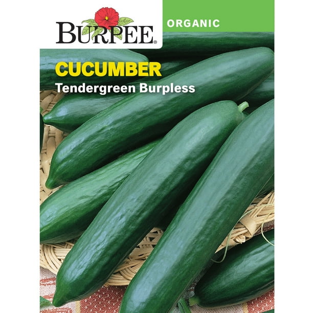 Burpee Organic Tendergreen Burpless Cucumber Vegetable Seed, 1pack