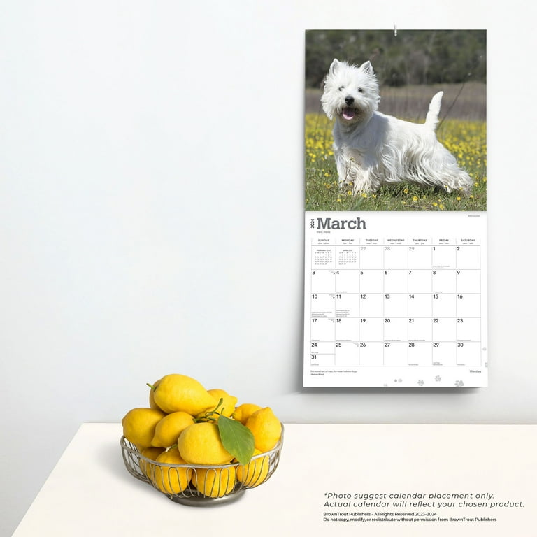 Westie Calendar 2025 Calendar 2025 carin nikoletta