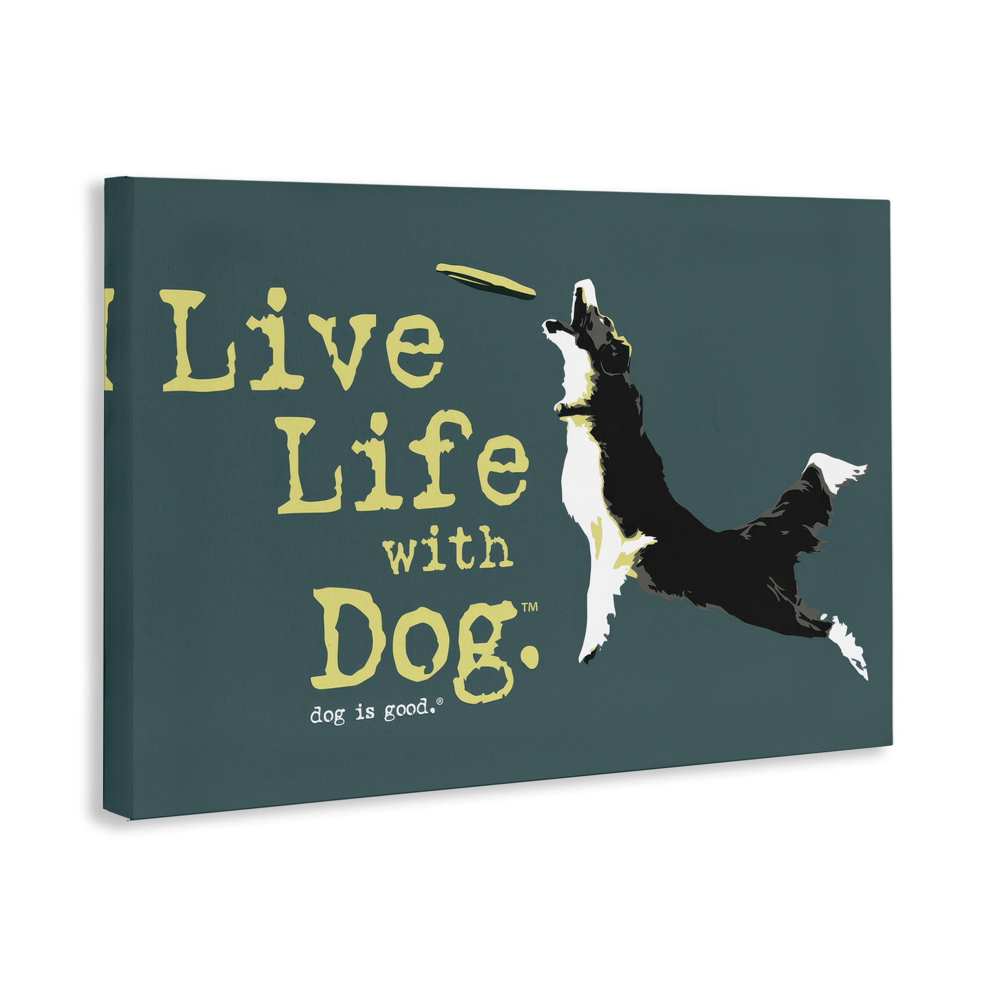 Stupell Industries Dog Playing Fetch Phrase Animals Painting Wrapped Canvas Art Print Wall Art, 24 x 16