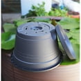 thumbnail image 5 of MISSMILE Hanging Plant,Drainage and Ventilation Hanging Planters,Detachable Tray Hanging Pots for Plants Indoor, 5 of 5