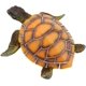 thumbnail image 1 of Adorno de decoración de acuario de pecera de tortuga de simulación no tóxica JAMW Sencillez, 1 of 4