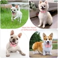 thumbnail image 6 of Mumup Rhinestone Bowtie Dog Collar for Girls Boys,Cute Dazzling Sparkling Soft Suede Leather Pretty Bling Cat Collars Crystal Diamond Pet for Small Medium Large Puppy Kitty Female Male, 6 of 6