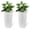 01 + White + 2pcs/carton+1, variant on Set of 2 22 Inch Faux Rattan Tall Planters Outdoor Indoor Automatic Watering Flower Pots with Water Level Monitor White