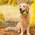 Friday Dog Item Base Set Pack And Track Tags Dog Light Pet Nutrition