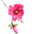 thumbnail image 1 of Flmtop 1Pc Wedding Hotel Artificial Magnolia Silk Cloth Flower Party Home Decoration, 1 of 1