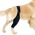 thumbnail image 1 of Dog Recovery Sleeve Front Rear Leg Support Brace for Injury Sprain Relieve Pain, 1 of 8