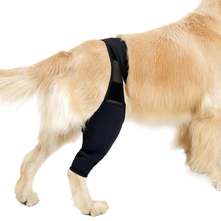 Dog leg support bandage top