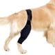 thumbnail image 1 of Manga de recuperación para perros, soporte para patas delanteras y traseras, para aliviar el dolor por esguince y lesiones, 1 of 9