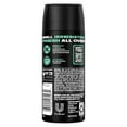 thumbnail image 2 of Axe Body Spray for Men Apollo (Pack of 24), 2 of 7