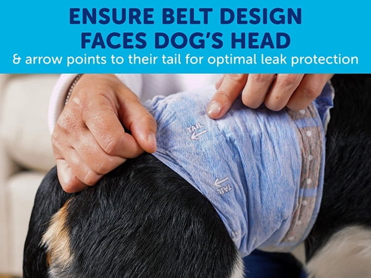 Hartz Comfitables Male Dog Wraps with Stretchy Waistband, Medium 36 Count