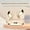 Beige, variant on Wireless Bone Conduction Earphones, Open Ear Bluetooth 5.4 with 80H Playtime, Stereo Bass, Noise Cancelling Mic, LED Display Sports Headphones for Android iOS Huawei Xiaomi