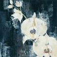 thumbnail image 3 of Jardine, Liz 15x15 Black Modern Framed Museum Art Print Titled - Shadow Orchids I, 3 of 5