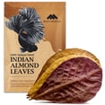thumbnail image 1 of Hojas para acuario MATCHIMAA Indian Almond 15-23 cm 50 g, 1 of 8