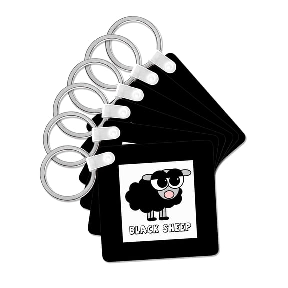 3dRose, Little Black Sheep Design, set of 6 Key Chains