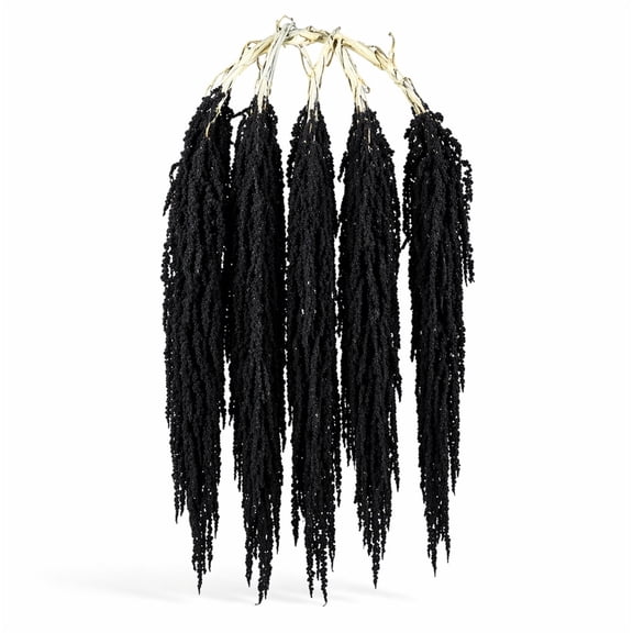 5 Pcs Dried Amaranthus Hanging Flowers, Xinshengli Natural Preserved Flower for Wedding Arch, Exhibition, Wall Hanging Lover Tears, Floral Arrangement, Home Decor (Black, 23")