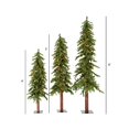 thumbnail image 3 of Vickerman A805185LED Ensemble d'Arbres Alpins Naturels 4 x 5 x 6 Pi avec 450 Lumières LED Multicolores, 3 of 3