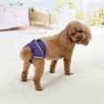 thumbnail image 6 of Comfortable Dog Underwear Dog Diapers Pants Male Female to Put On/Off Breathable Physiological Pants Reusable Sanitary Panties for Small to Large Dogs Pet (1pcs, Purple, XL), 6 of 7