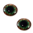 thumbnail image 5 of Brown and Green Human Glass Eyes, 5 of 7