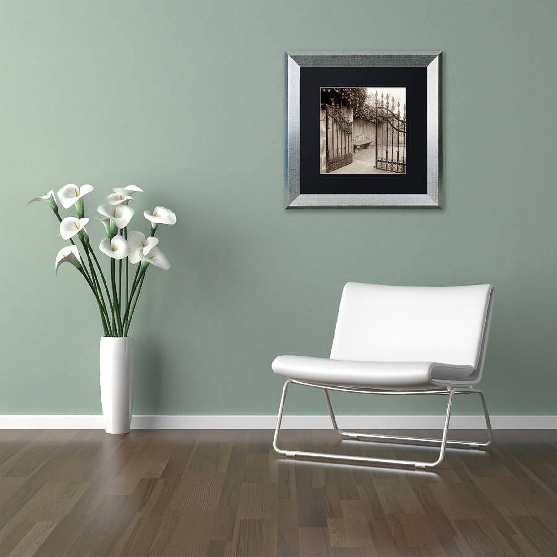 Trademark Fine Art "Avignon I" Canvas Art by Alan Blaustein, Black Matte, Silver Frame