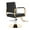 Black Gold, variant on Salon Chair, Hydraulic Pump Salon Chair 360 Degree Rotating Barber Chair, Spa Beauty Equipment for Hair Stylists, Tattoo Artists, Cosmetologists (Black+Silver)