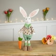 thumbnail image 2 of Northlight Polka Dot Boy Rabbit with Carrot Standing Easter Figure - 18", 2 of 5