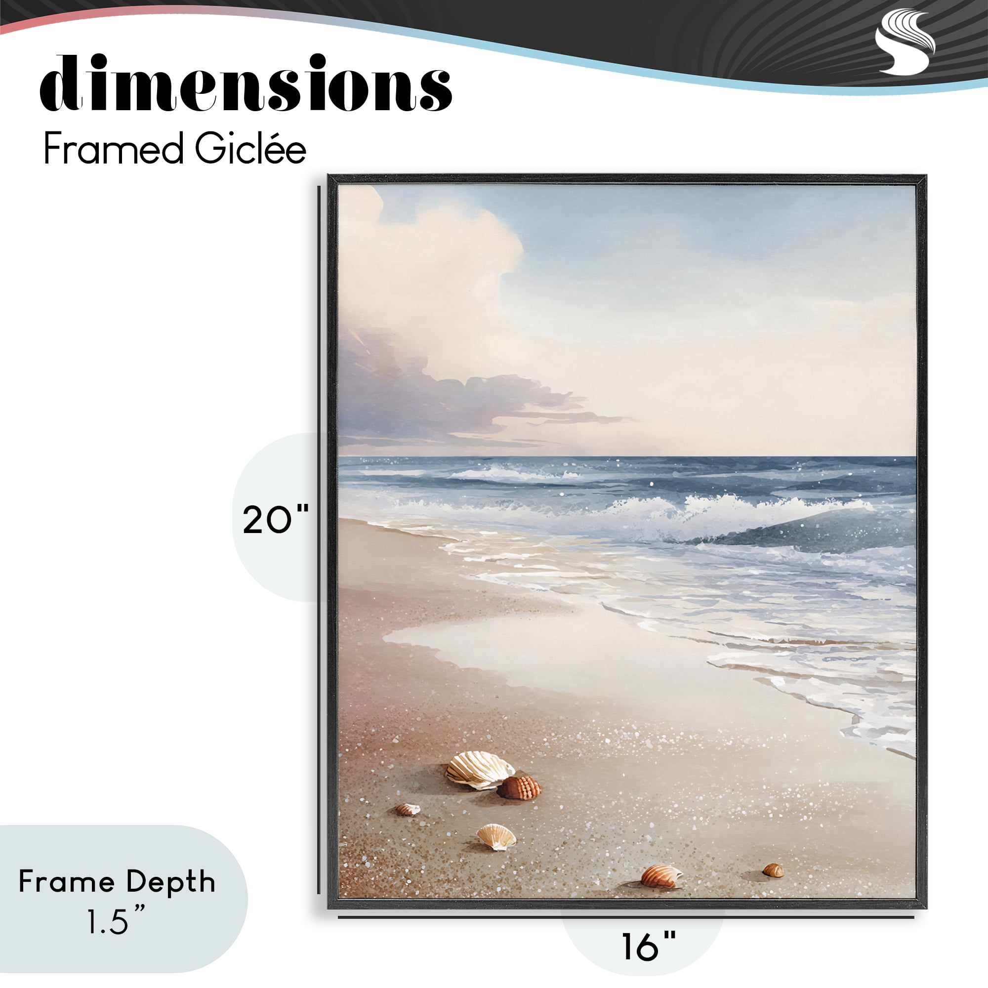 Stupell Industries Washed Up Seashells Black Framed Giclee Art, design by Franklyn Gregory