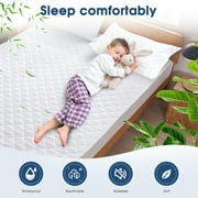 Queen Size Waterproof Mattress Protector, Breathable Quilted Mattress Cover, Hypoallergenic & Noiseless Fitted Sheet Mattress Protector, Machine Washable, 8-21'' Deep Pocket