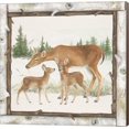 thumbnail image 1 of Family Cabin II by Beth Grove, Canvas Wall Art, 1 of 1