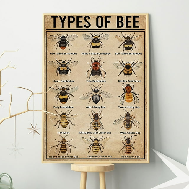 Ishii Melatic Types Of Bee Poster/ Bee Poster/ Bee Lover/Honey Bee Lover/Vertical Poster
