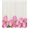 thumbnail image 3 of Ambesonne Rose Shower Curtain, Flowers on Wood Planks, 69"Wx84"L, Pink Green Cream, 3 of 3
