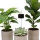 thumbnail image 4 of CRAFTHROU 1Jgo Marcadores De Jardín Acrílicos Resistentes Para Plantas En Macetas Y, 4 of 8