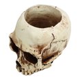 thumbnail image 1 of Maceta con cabeza de esqueleto maceta decorativa portátil con cabeza de calavera de resina de forma transparente para el hogar ANGGREK Otros, 1 of 8