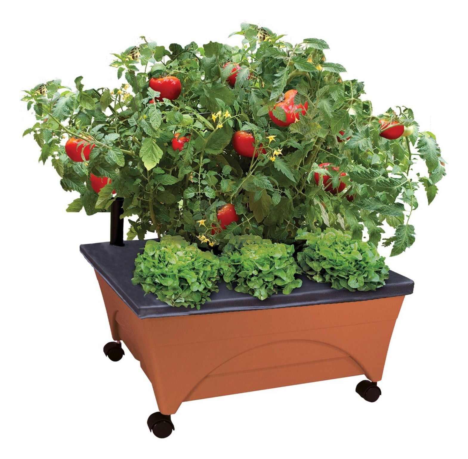 Emsco Group City Picker Raised Bed Grow Box Self Watering