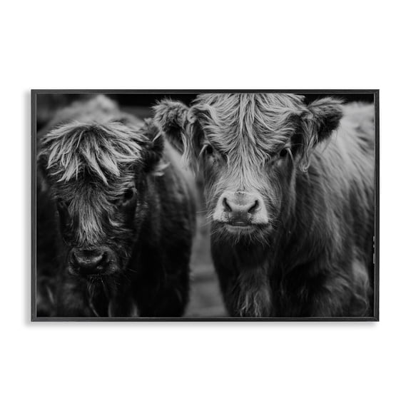Cow Faces on Farm Black Framed Giclee Art, design by Amy Carroll