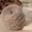 light brown, variant on Xiao Hua dark green sequined mohair yarn -2 rolls (50g per roll) soft sequined mohair blend, multifunctional crochet yarn, perfect for knitting and decorating clothing