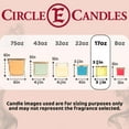 thumbnail image 2 of Circle E Candles, Sierra Wind Scent, Medium Size Jar Candle, 17oz, 2 Wicks, 2 of 7
