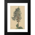 thumbnail image 2 of Karl Wiener 13x18 Black Modern Framed Museum Art Print Titled - Without Title (Needle Tree) I (Around 1924), 2 of 5