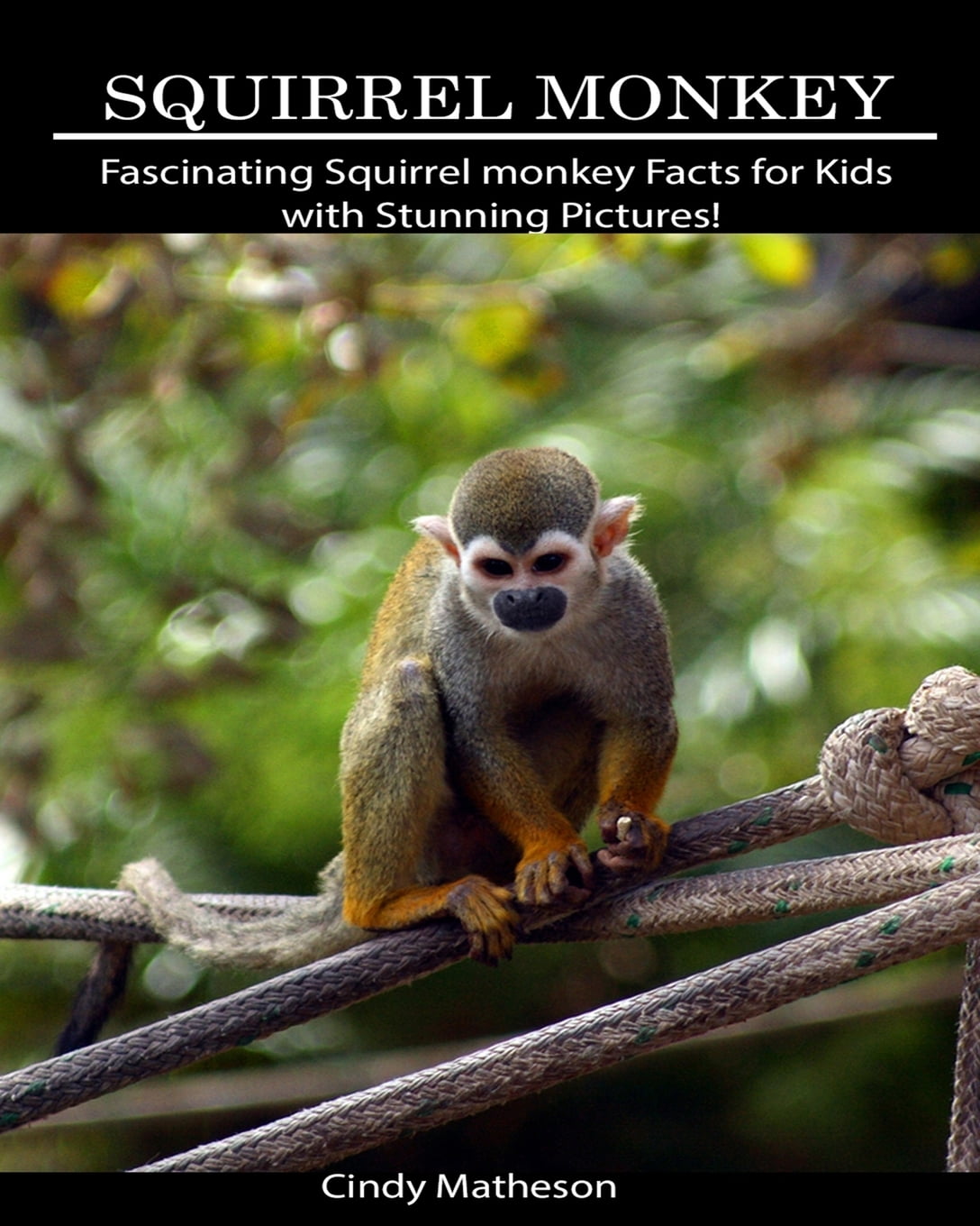 Squirrel Monkey : Fascinating Squirrel Monkey Facts for Kids with