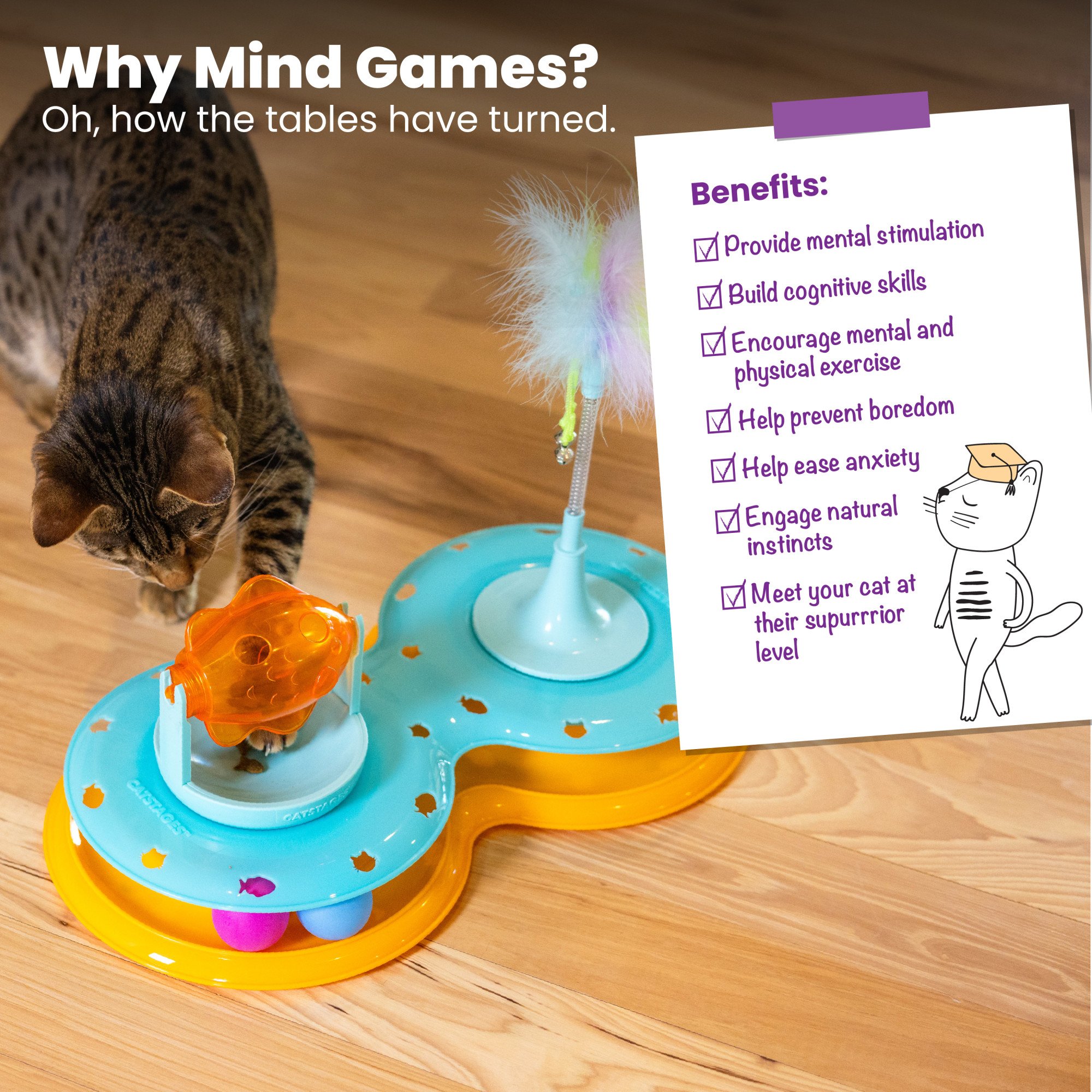 Catstages Meowsome Infinity Ball Track for Cats, Blue photo 6