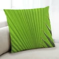 thumbnail image 1 of Ahgly Company Color Focus Green Coussin Décoratif d'Intérieur, 18 Po X 18 Po, 1 of 6
