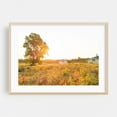 thumbnail image 2 of Golden Hours - Maine Photography Sunset Rural Landscape Farmhouse Scenic Nature Autumn Unframed Wall Art Print 40 x 60 inches, 2 of 7