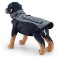 thumbnail image 2 of Spiked Small Dog Vest,Reflective Dog Harness Vest with Removable Spikes, Anti-Bite & Predator Protective Dog Jacket with D-Ring & Breathable Linings Grey M, 2 of 5