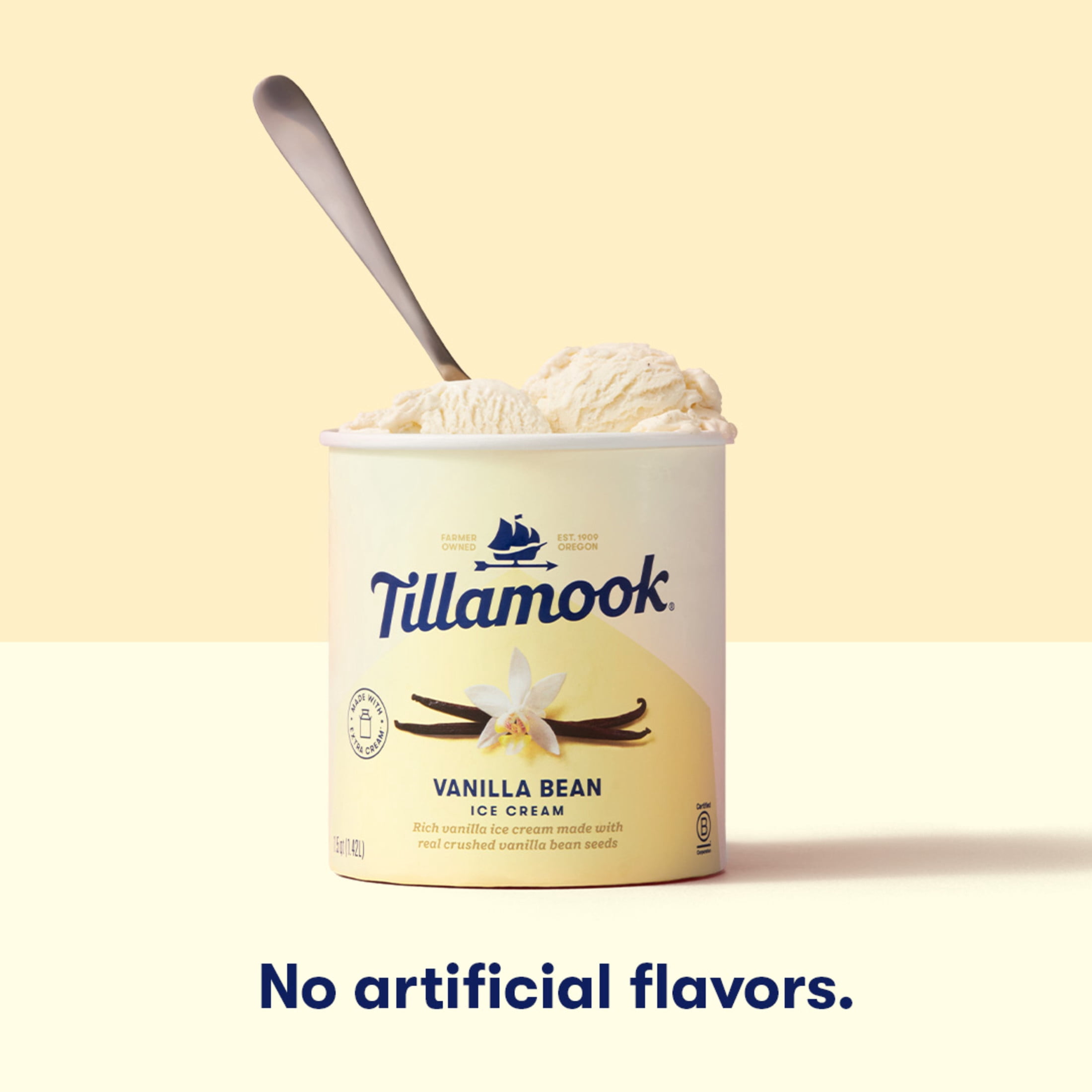 Tillamook Vanilla Bean Ice Cream, 48 oz