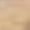 Beige, variant on ZyeKqe Womens Thong Low Waisted Strappy Cute Ladies Panties T Back Seamless Breathable Thongs Briefs