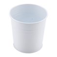 thumbnail image 1 of Iron Succulent Plant Pot White, 1 of 8